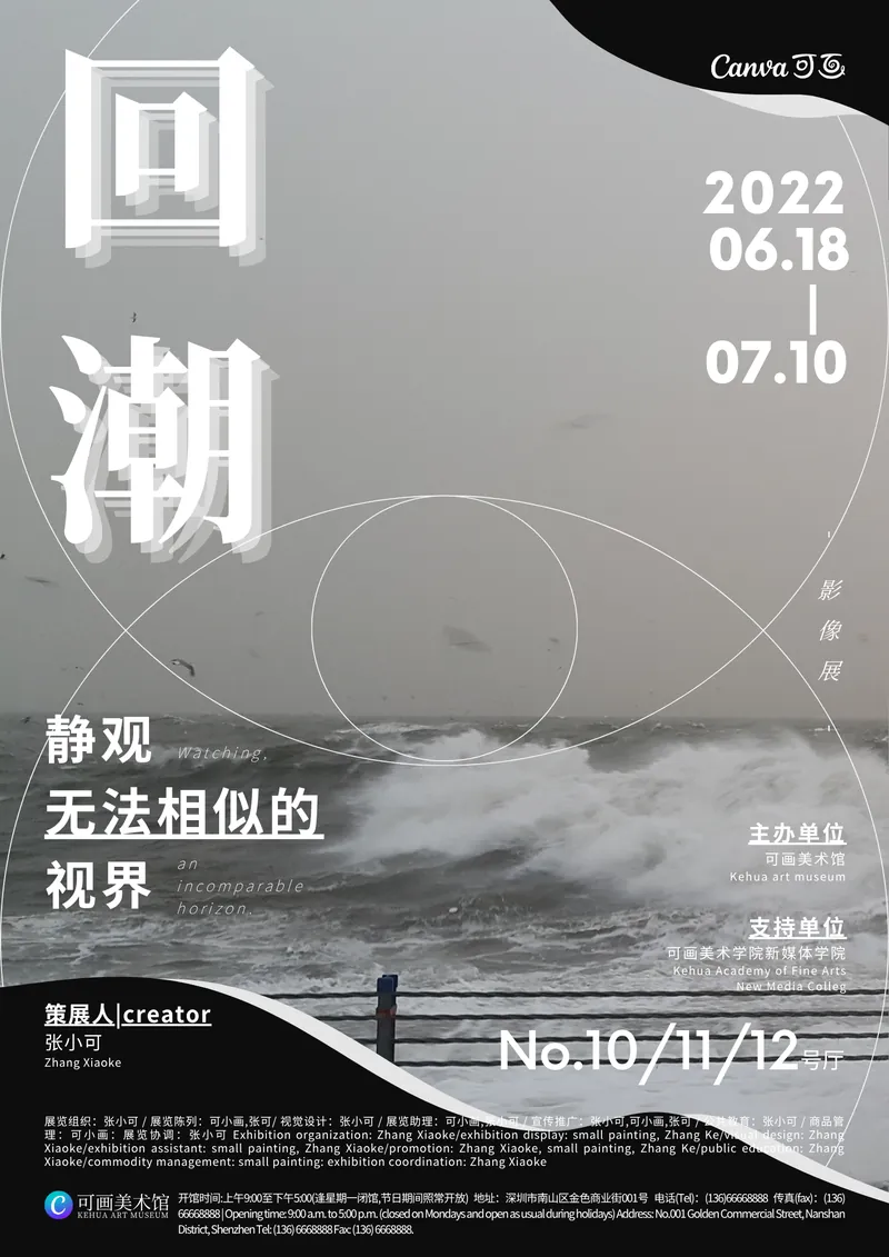 艺术展览黑白现代简约影像海报