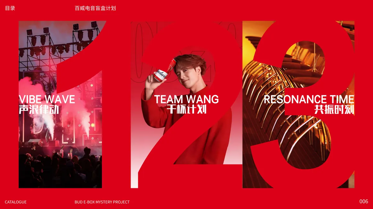 百威礼品方案 第6页